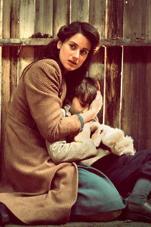 Die-Vögel-über-dem-Sund