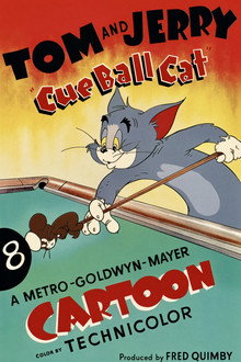 Cue Ball Cat