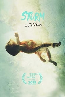 Poster do filme Storm