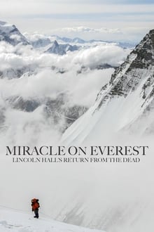 Poster do filme Miracle on Everest