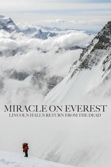 Miracle on Everest movie poster