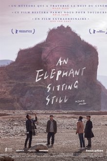 An Elephant Sitting Still