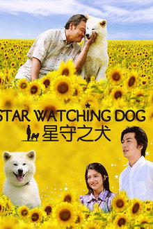 Star Watching Dog