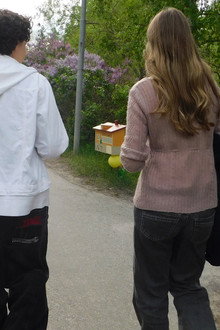 Trådhörlurar