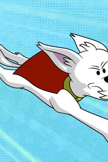 Krypto Saves the Day!