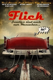 Poster do filme Flick