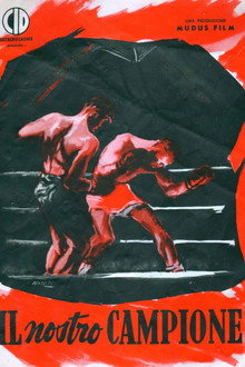 Il nostro campione