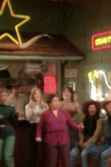 Bosom Buddies - Season 1