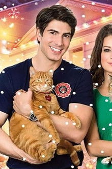 Eine-samtige-Bescherung