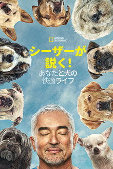 シーズン1