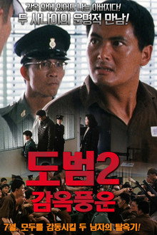 감옥풍운 2: 도범