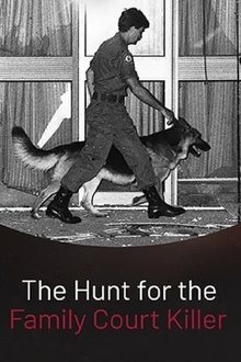The Hunt for the Family Court Killer