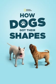 Poster do filme How Dogs Got Their Shapes