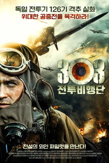 303 전투비행단