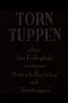 Torntuppen