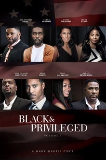 Poster do filme Black & Privileged: Volume 1