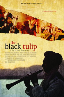 The Black Tulip