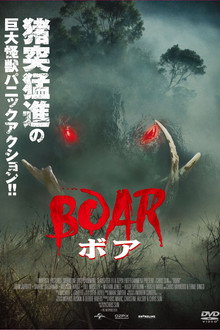 Boar