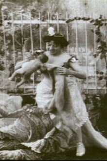 La fée aux choux