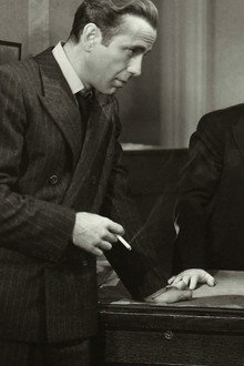Sokół maltański