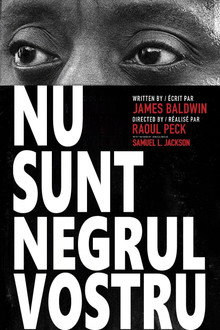 Eu nu sunt negrul tău