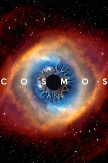 Cosmos: A Spacetime Odyssey tv show poster