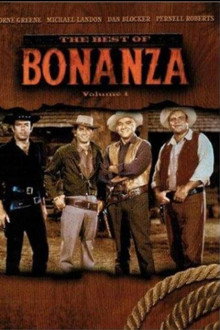 Bonanza: The Return