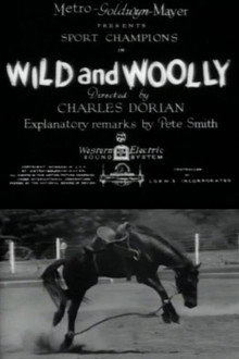 Wild and Woolly
