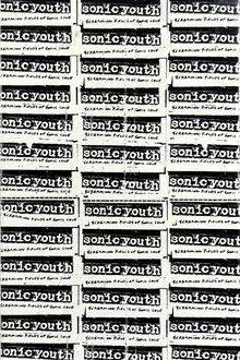 Sonic Youth: Screaming Fields of Sonic Love