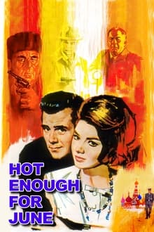 Poster do filme Hot Enough for June