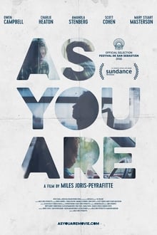 Poster do filme Como Você É