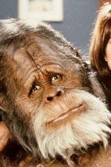 Harry and the Hendersons