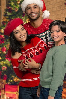 The Christmas Sitters