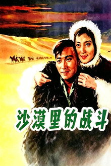 沙漠里的战斗