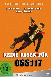 Keine Rosen für OSS 117