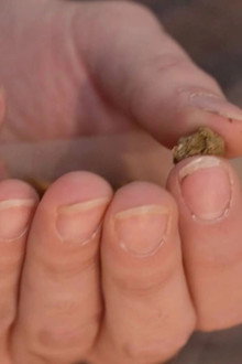 Cannabis, un paradoxe français