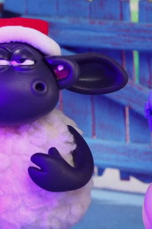 Timmy Time: Timmy's Christmas Surprise