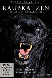 Big Cats: Fast and Dangerous