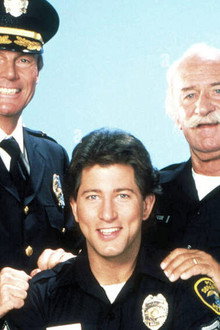 The Last Precinct