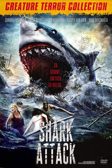 Shark Attack