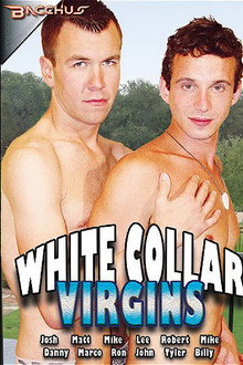 White Collar Virgins