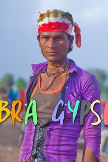 Cobra Gypsies