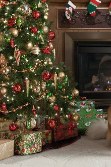 Beethoven's Christmas Adventure