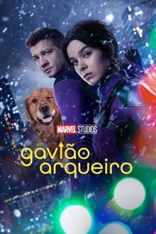 Assistir Gavião Arqueiro Online Gratis