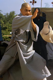 佛掌羅漢拳
