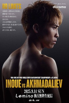 ＮＴＴドコモ Presents Lemino BOXING トリプル世界タイトルマッチ