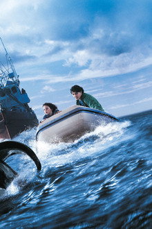 Free Willy 3: The Rescue
