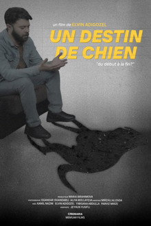 Dog's Tale
