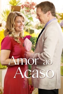 Poster do filme Amor ao Acaso