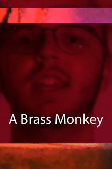 A Brass Monkey